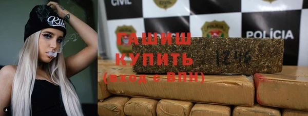 стаф Алзамай