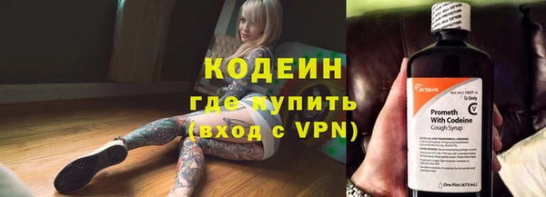 стаф Алзамай