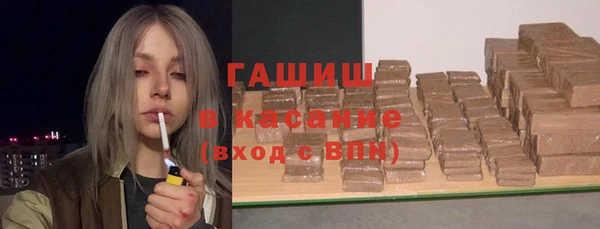 стаф Алзамай