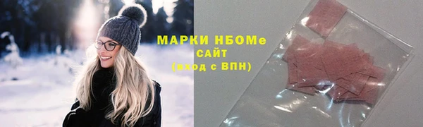 стаф Алзамай