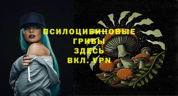 соль курить ск Алексеевка