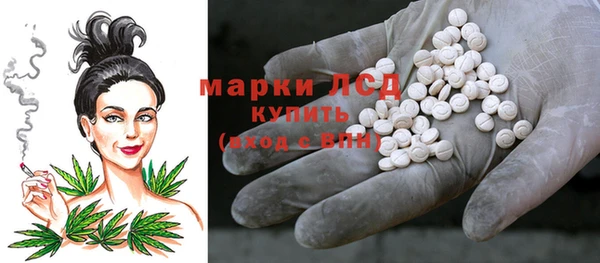 стаф Алзамай