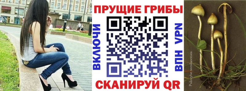 мориарти состав  Обоянь  Галлюциногенные грибы Psilocybine cubensis  мега онион 