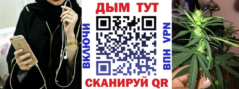 наркотики  блэк спрут вход  Канабис сатива  Обоянь 